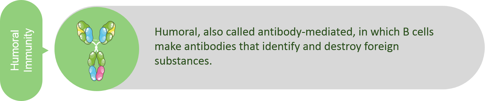 Immune Checkpoint Proteins